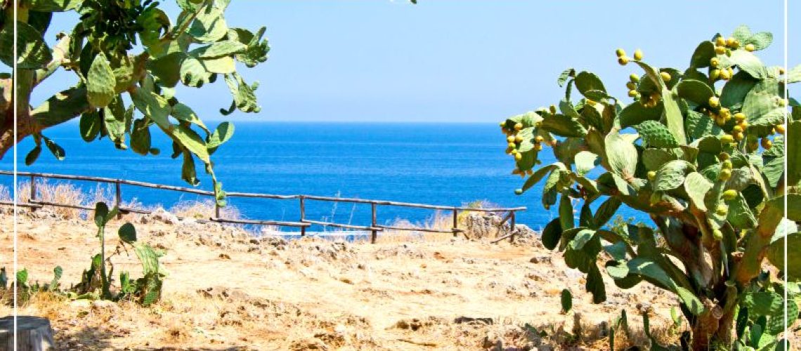 La riserva dello zingaro, il paradiso in Sicilia